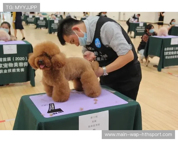 比赛日场馆内宠物托管异常事件应急联络流程，宠物托管服务内容